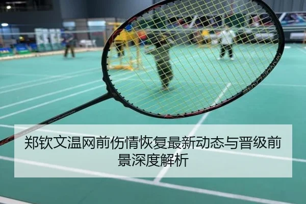 郑钦文温网前伤情恢复最新动态与晋级前景深度解析